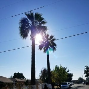 Meet your Posher, Eduardo